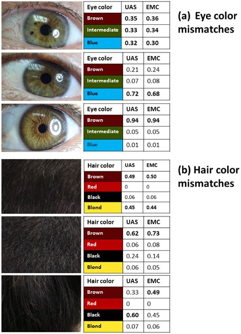 Table 1: Geographical Distribution of Jet Black Hair Genetic Traits