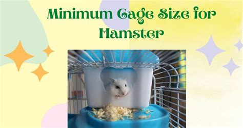 Table 1: Hamster Cage Requirements