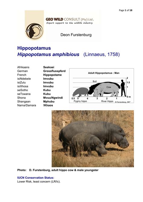 Table 1: Hippopotamus Characteristics