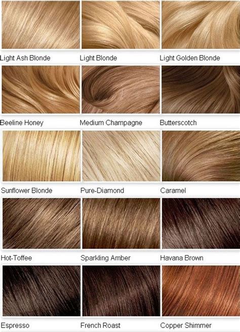 Table 1: Honey Blonde Hair Color Ideas for Different Hair Types