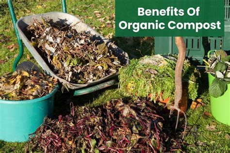 Table 1: Key Benefits of Compost Organic Fertilizer Sieving