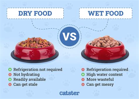 Table 1: Key Differences Between Wet and Dry Cat Food