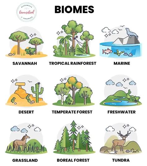 Table 1: Leaf Types and Associated Biomes