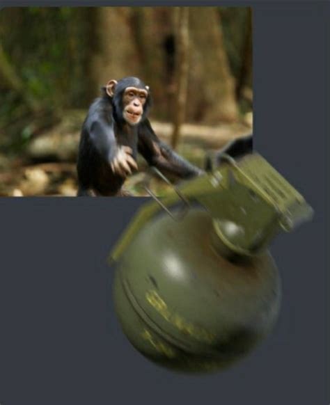 Table 1: Monkey Throwing Grenades: Statistics