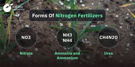 Table 1: Nitrogen Fertilizers