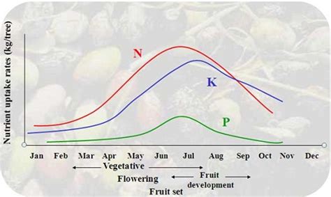 Table 1: Nutrient Requirements of Olive Trees