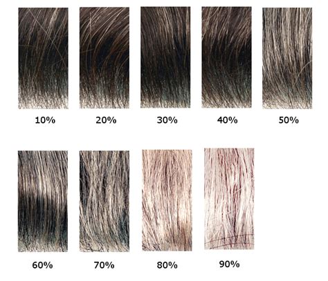 Table 1: Percentage of Americans with Grey Hair by Age