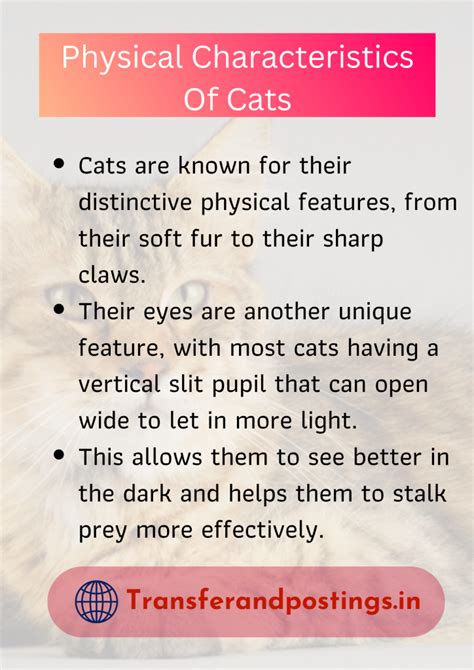 Table 1: Physical Characteristics of Royalkittys