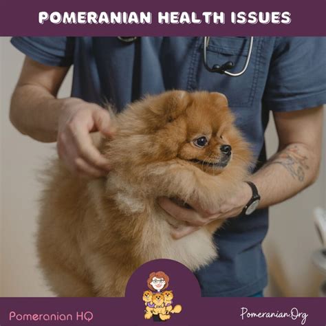 Table 1: Pomeranian Health Conditions