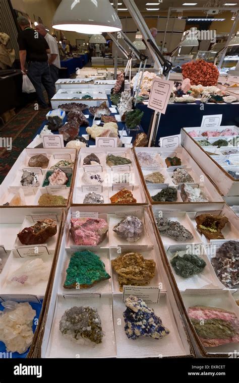 Table 1: Popular Rock and Mineral Shows