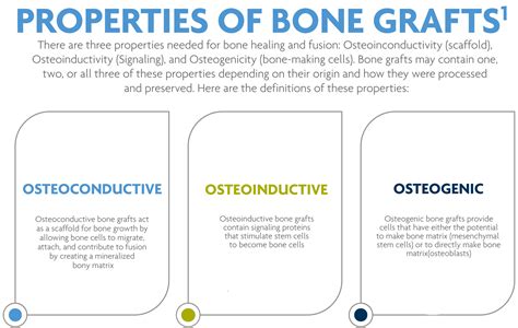 Table 1: Properties of Dry Bones Shell