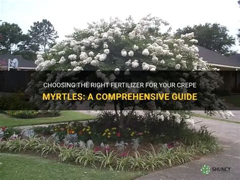 Table 1: Recommended Fertilizer Types for Crepe Myrtles