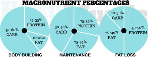 Table 1: Recommended Macronutrient Ratios for Juniper Bonsai