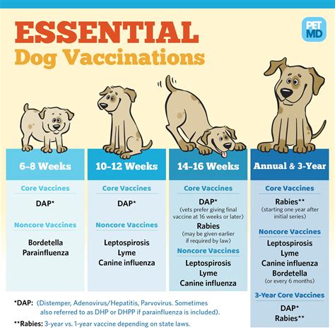 Table 1: Recommended Vaccination Schedule for Dogs