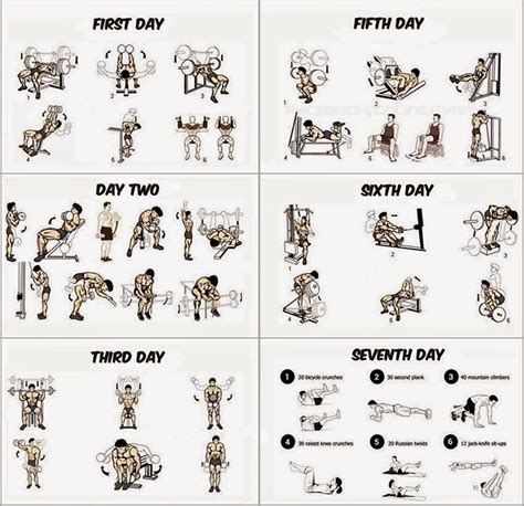 Table 1: Sample Muscle-Building Exercise Regimen