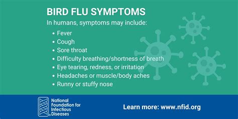 Table 1: Symptoms of Bird Flu