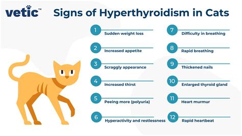 Table 1: Symptoms of Hyperthyroidism in Cats