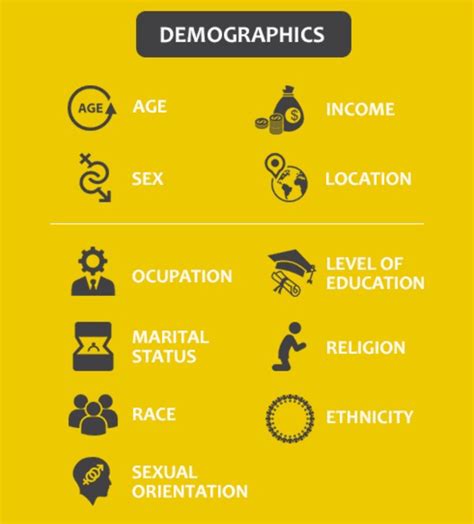 Table 1: Target Audience Demographics and Motivations