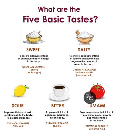 Table 1: The Five Basic Tastes