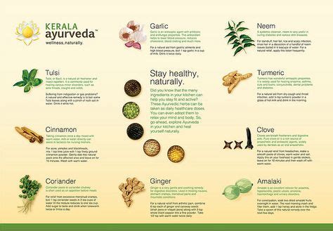 Table 1: Top Ayurvedic Herbs for Various Conditions