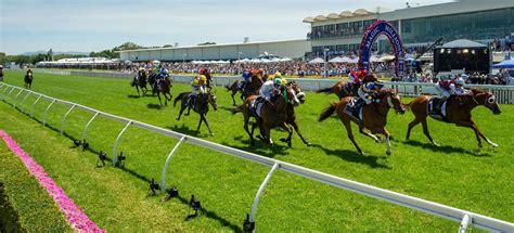 Table 1: Top QLD Racecourses and Major Races