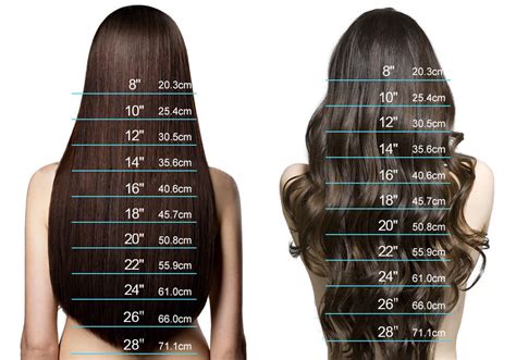 Table 1: Types of 20 Inch Extensions