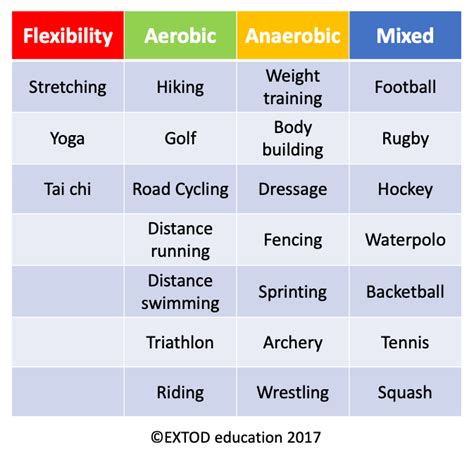 Table 1: Types of Activity Rugs and Their Benefits