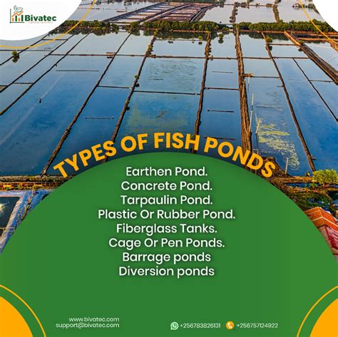 Table 1: Types of Fish Ponds