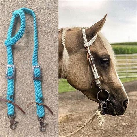 Table 1: Types of Headstalls