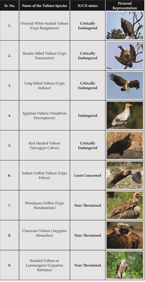 Table 1: Vulture Populations