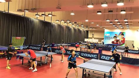 Table Tennis Coach Singapore: Unleashing Your Potential to Triumph