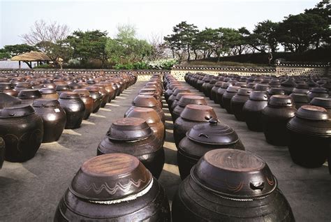 Taegu-Jikhalsi: Unveiling the Secrets of Korean Fermentation