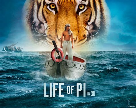 Taiwanese Sailor Life of Pi: A Captivating Odyssey of Survival and Wonder