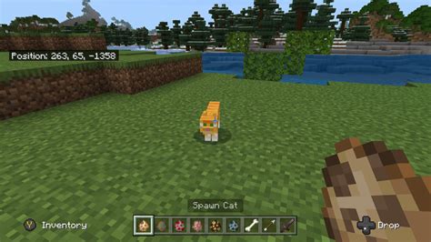 Tame a Cat in Minecraft: An Ultimate Guide to 64 Felicies