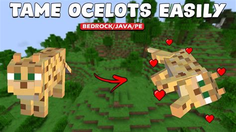 Tame a Ocelot in Minecraft: A Comprehensive Guide