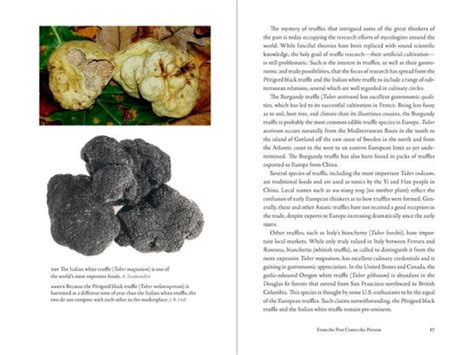 Taming the Truffle: The History, Lore, and Science of the Ultimate Mushroom Ebook PDF