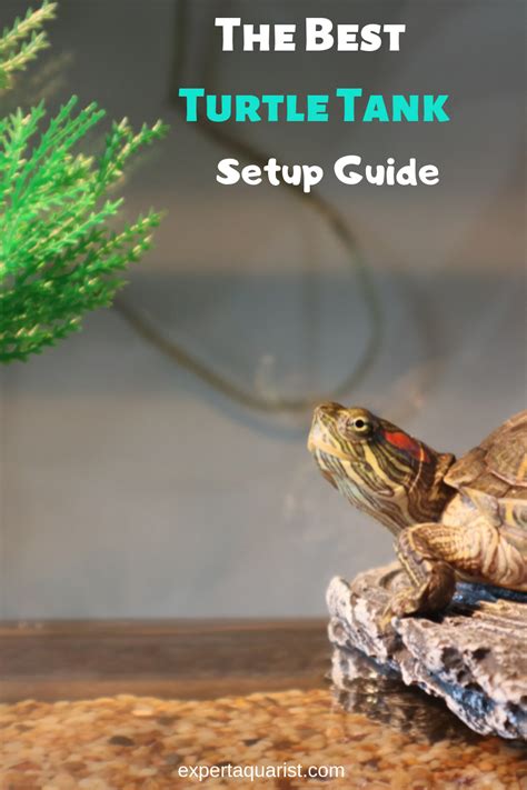 Tanks for Turtles Starter Kits: A Comprehensive Guide for Beginner Turtle Enthusiasts