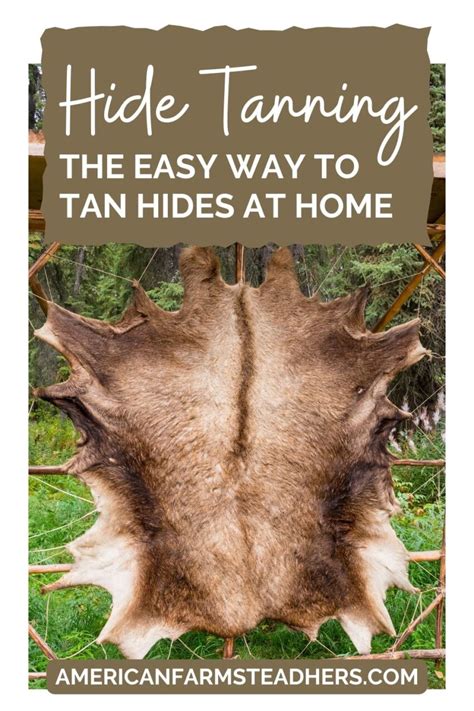 Tanning Alpaca Hides at Home PDF