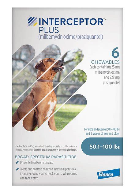 Tapeworm Medication for Dogs: The Ultimate Guide