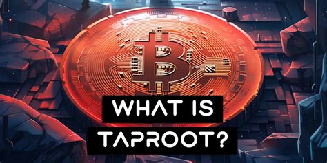 Taproot Wallets: A Paradigm Shift in Bitcoin Security and Privacy