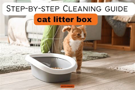 Target Cat Litter Box: The Ultimate 100% Guide (2023)