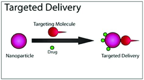 Targeted Drug Delivery: