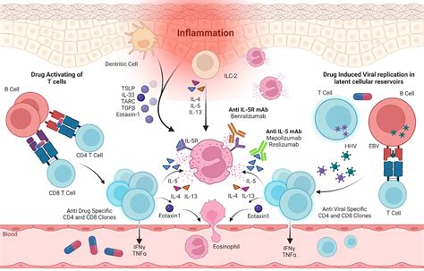 Targeted Inhibition: