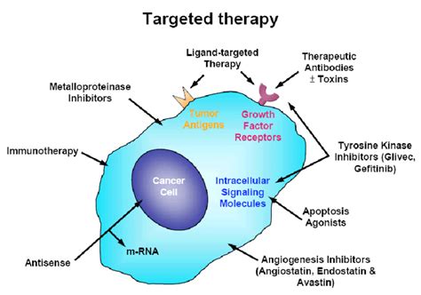 Targeted Therapy for Cancer Reader