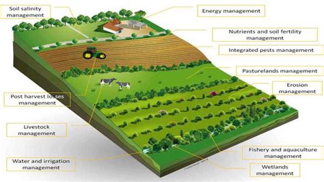 Targeted crop types: