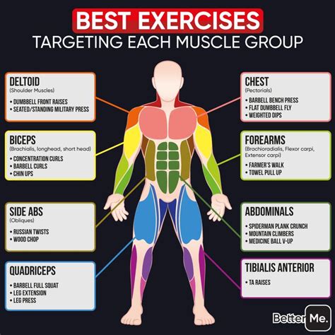 Targeted exercises: