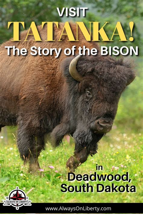 Tatanka: The Story of the Bison in Deadwood, South Dakota