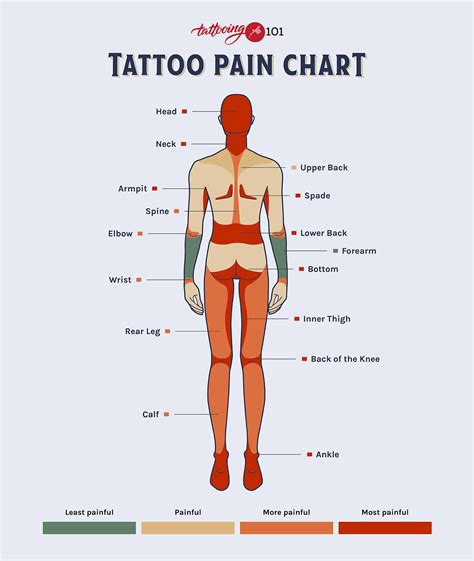 Tattoo Pain Areas Chart