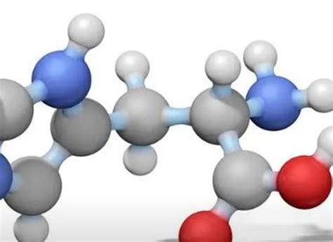 Taurine 中文：全面揭密人體必需的氨基酸