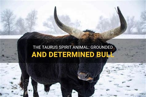 Taurus: The Determined Bull